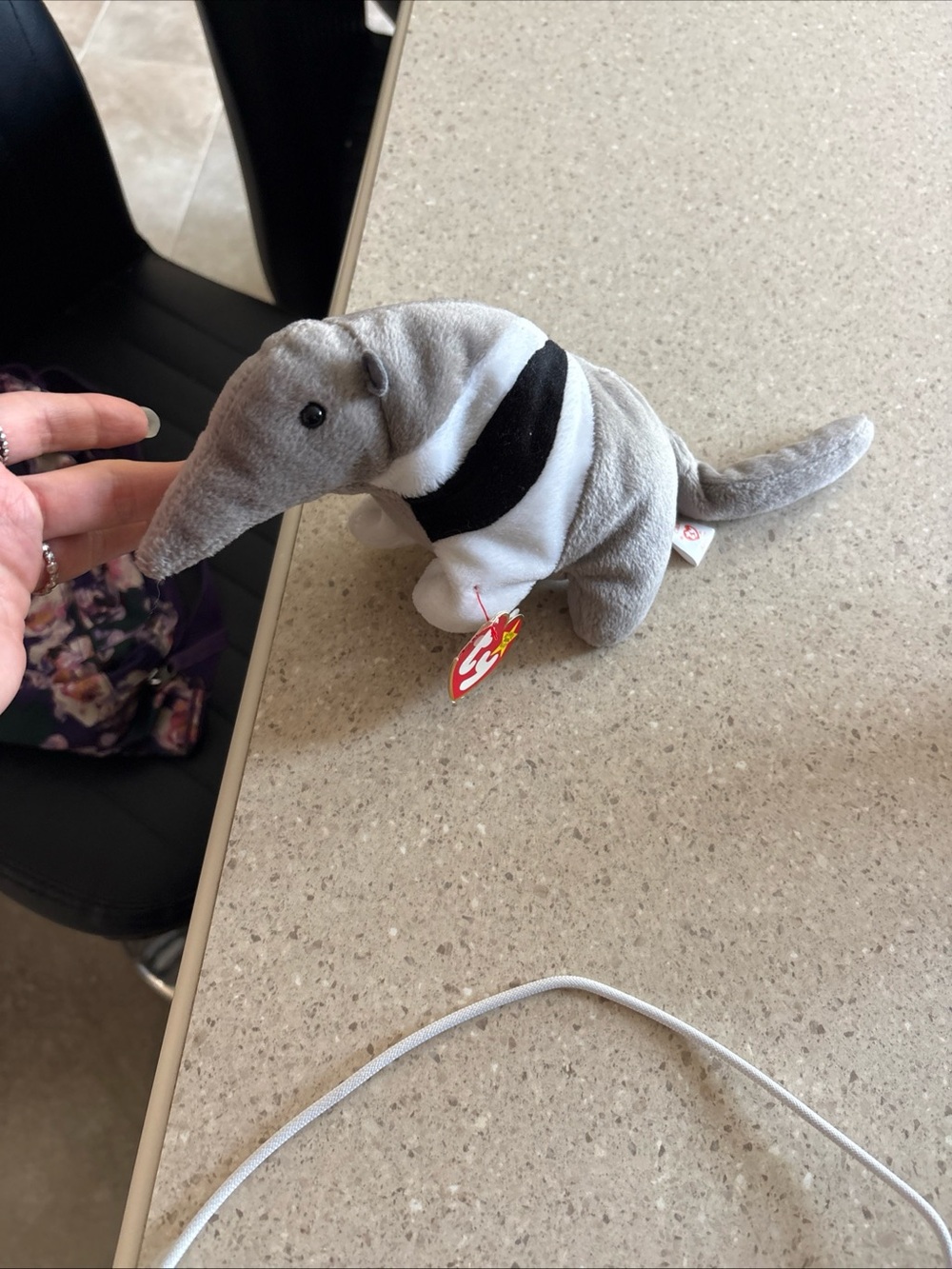 Ty Beanie Baby ANTS the Anteater (6.5 Inch) NEW MINT with MINT TAGS 1997